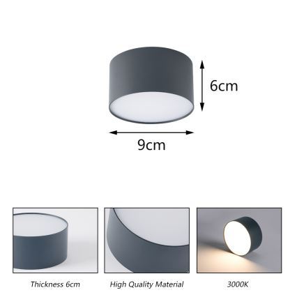 BRILAGI - LED Udendørs loftlampe FORIS LED/9W/230V Ø 9 cm antracit IP44