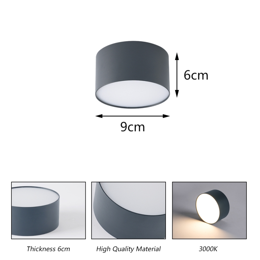 BRILAGI - LED Udendørs loftlampe FORIS LED/9W/230V Ø 9 cm antracit IP44