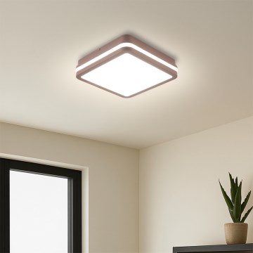 Brilagi - LED udendørs loftlampe med sensor BENE LED/18W/230V 21,5x21,5 cm brun IP54