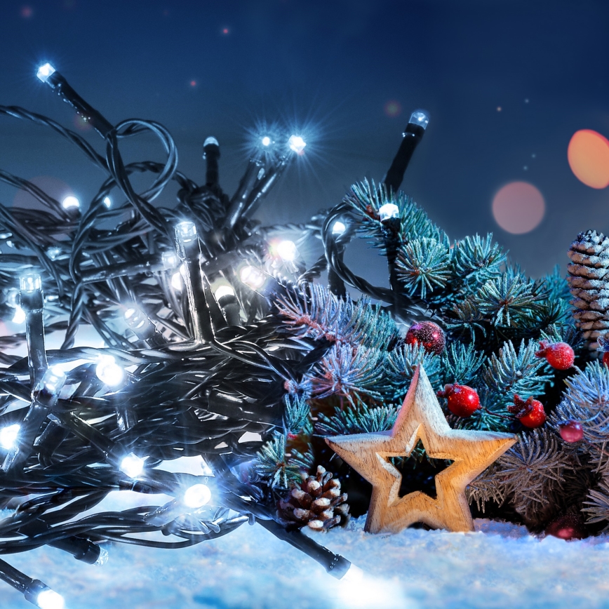 Brilagi - LED udendørs lyskæde, 300 LED, 8 funktioner, 35 m, IP44, kold hvid