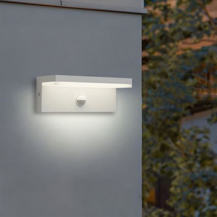 Brilagi - LED udendørs vægarmatur med sensor TESSI LED/10W/230V hvid IP54
