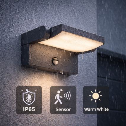 BRILAGI - LED udendørs væglampe med bevægelses- og skumringssensor ANKLE LED/12W/230V IP65 sort