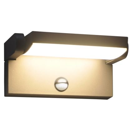 BRILAGI - LED udendørs væglampe med bevægelses- og skumringssensor ANKLE LED/12W/230V IP65 sort
