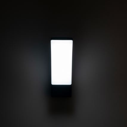 BRILAGI - LED Udendørs væglampe ARCELO LED/12W/230V IP65 sort