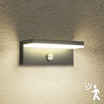 Brilagi - LED udendørs væglampe med sensor TESSI LED/10W/230V antracit IP54