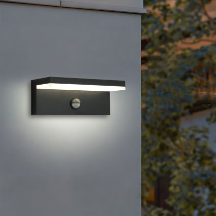 Brilagi - LED udendørs vægarmatur med sensor TESSI LED/10W/230V sort IP54