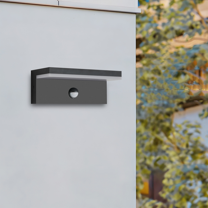Brilagi - LED udendørs vægarmatur med sensor TESSI LED/10W/230V sort IP54