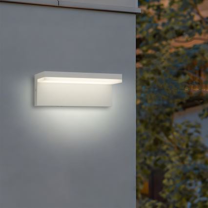 Brilagi - LED udendørs væglampe TESSI LED/10W/230V hvid IP54