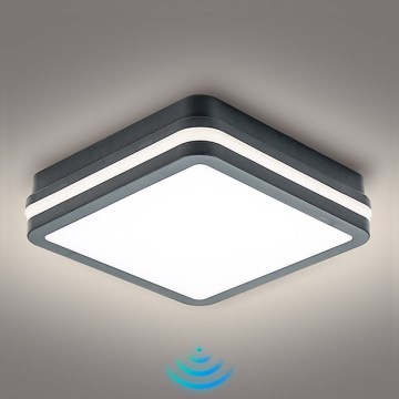 Brilagi - LED udendørsarmatur med sensor BENE LED/18W/230V 22x22 cm antracit IP54