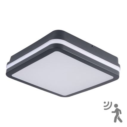 Brilagi - LED udendørsarmatur med sensor BENE LED/18W/230V 22x22 cm antracit IP54