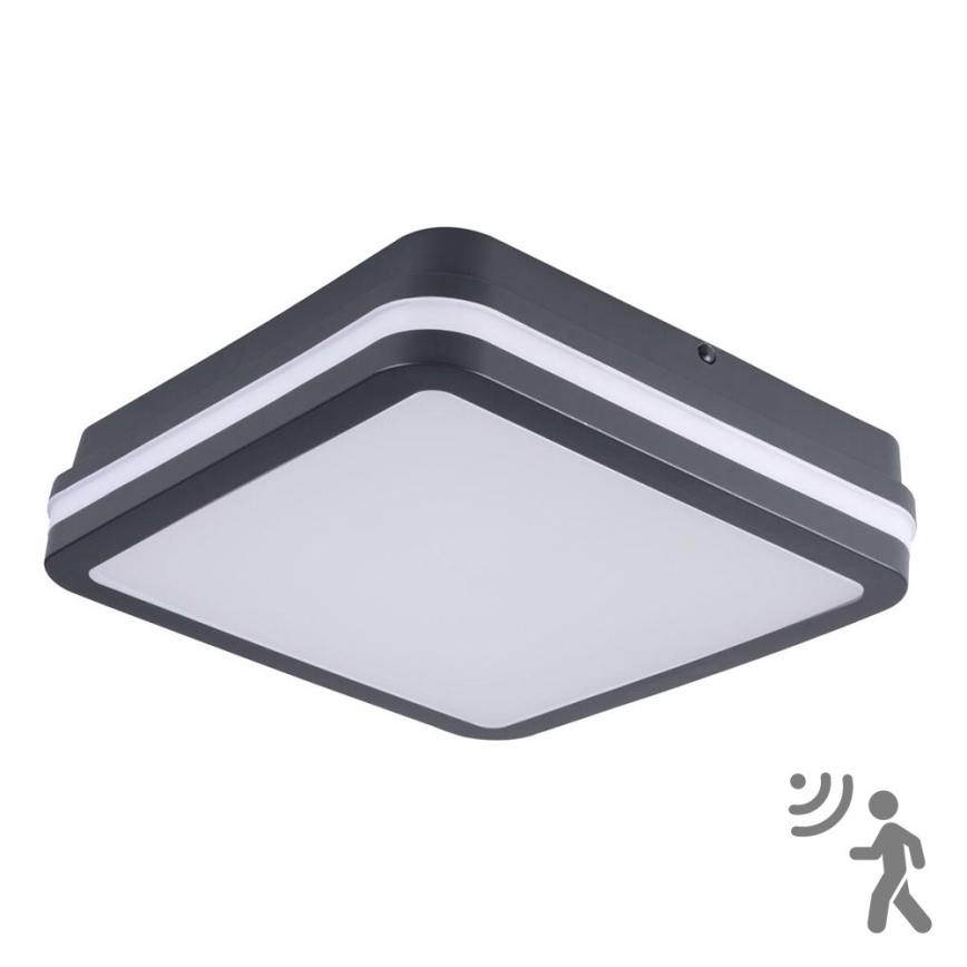 Brilagi - LED udendørsarmatur med sensor BENE LED/18W/230V 22x22 cm antracit IP54