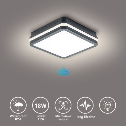 Brilagi - LED udendørsarmatur med sensor BENE LED/18W/230V 22x22 cm antracit IP54