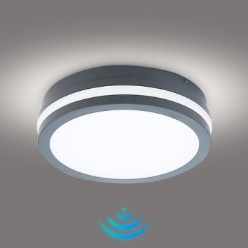Brilagi - LED udendørsarmatur med sensor BENE LED/18W/230V Ø 22 cm antracit IP54
