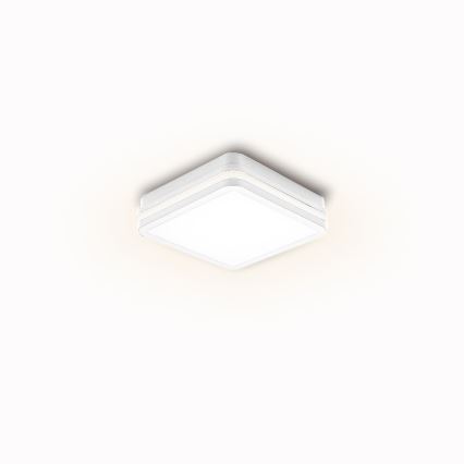 Brilagi - LED udendørsarmatur med sensor BENE LED/24W/230V 26x26 cm hvid IP54