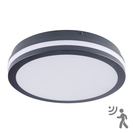 Brilagi - LED udendørslampe med sensor BENE LED/24W/230V Ø 26 cm antracit IP54