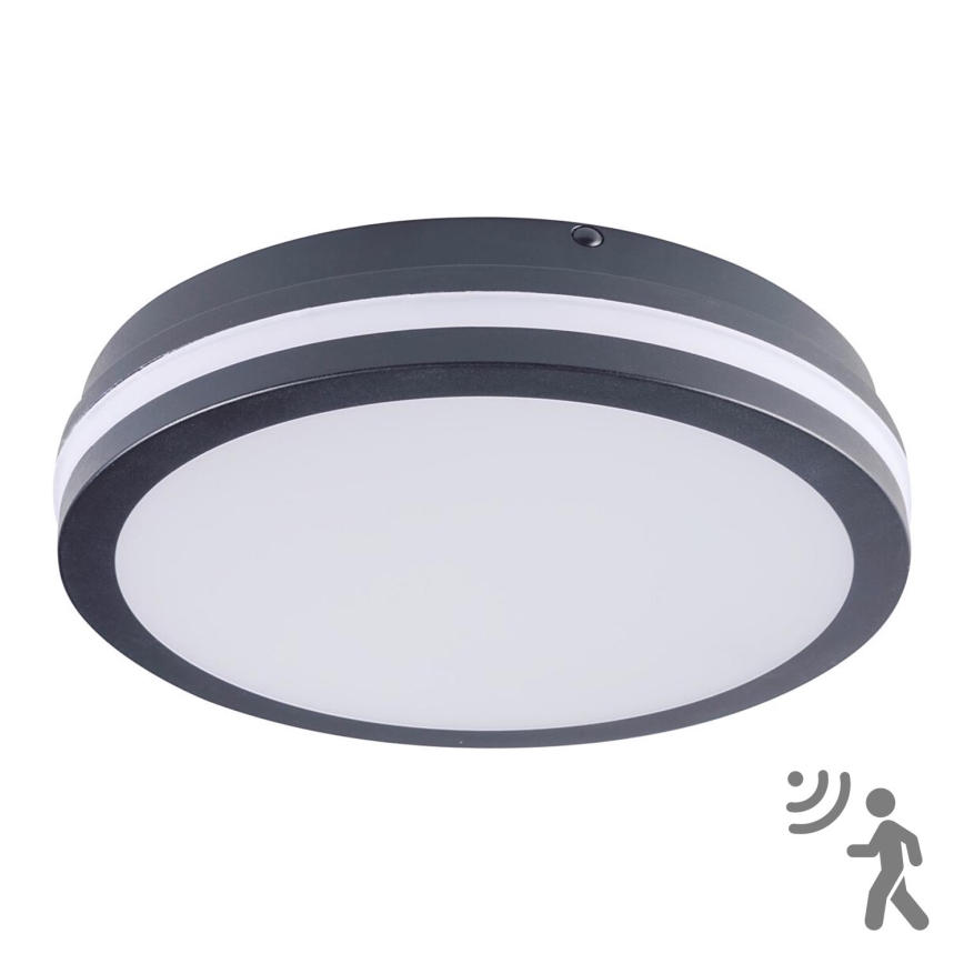 Brilagi - LED udendørslampe med sensor BENE LED/24W/230V Ø 26 cm antracit IP54