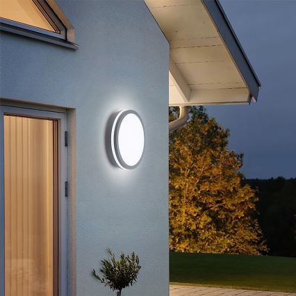 Brilagi - LED udendørslampe med sensor BENE LED/24W/230V Ø 26 cm antracit IP54