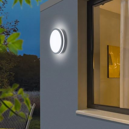 Brilagi - LED udendørslampe med sensor BENE LED/24W/230V Ø 26 cm antracit IP54