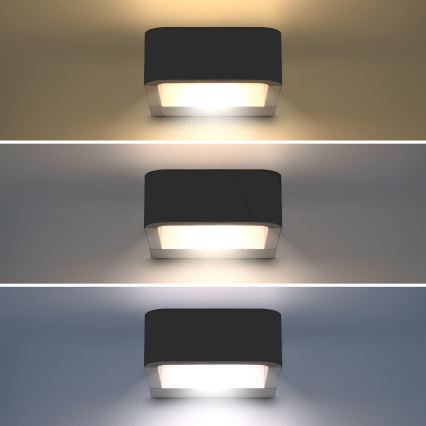Brilagi - Udendørs LED væglampe BARI LED/7W/230V 3000/4000/6000K antracit IP54
