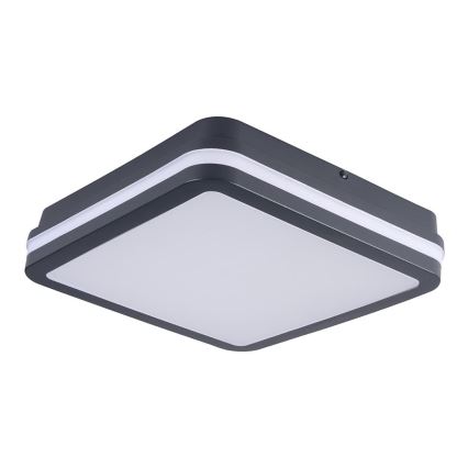 Brilagi - LED udendørslampe BENE LED/24W/230V 26x26 cm antracit IP54
