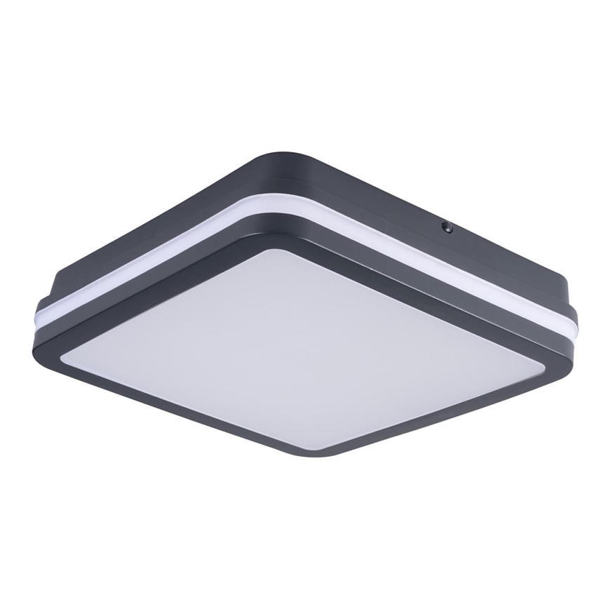 Brilagi - LED udendørslampe BENE LED/24W/230V 26x26 cm antracit IP54