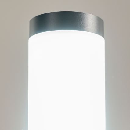 BRILAGI - LED udendørslampe ELIA 1xE27/7W/230V 4000K IP44 50 cm antracit