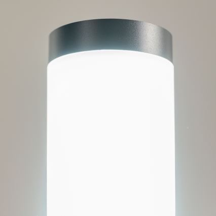 BRILAGI - LED udendørs lampe med stikkontakt ELIA 1xE27/7W/230V 4000K IP44 50 cm antracit