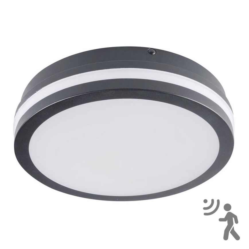 Brilagi - LED udendørslampe med sensor BENE LED/18W/230V diameter 22 cm antracit IP54