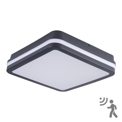 Brilagi - LED Udendørslampe m. bevægelsessensor BENE LED/24W/230V 26x26 cm antracit IP54