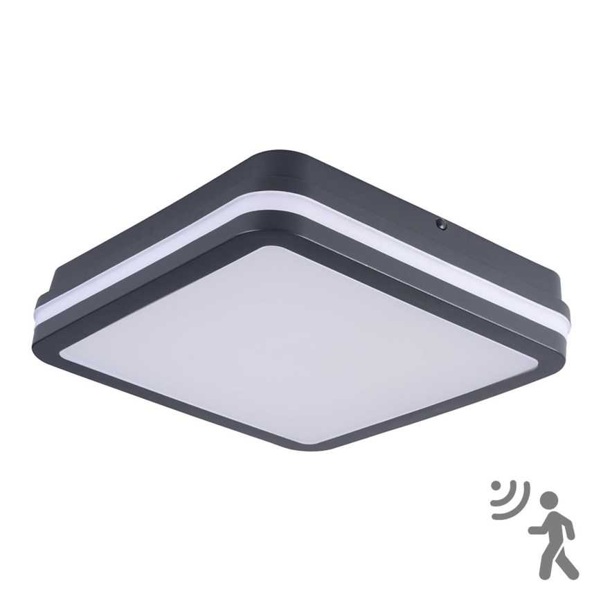 Brilagi - LED Udendørslampe m. bevægelsessensor BENE LED/24W/230V 26x26 cm antracit IP54