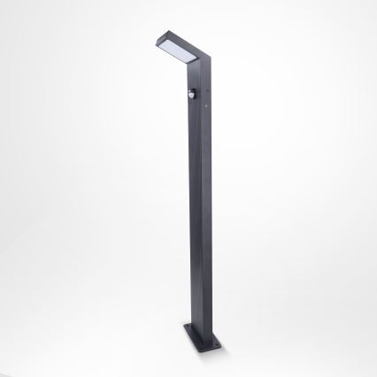 Brilagi - LED udendørslampe med sensor RIANO LED/8W/230V antracit IP65