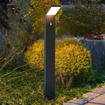 Brilagi - LED udendørslampe med sensor RIANO LED/8W/230V antracit IP65