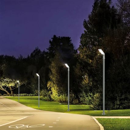 Brilagi - LED udendørs gadelampe med stolpe og justerbart led 3 m URBANLIGHT LED/50W/230V grå IP65