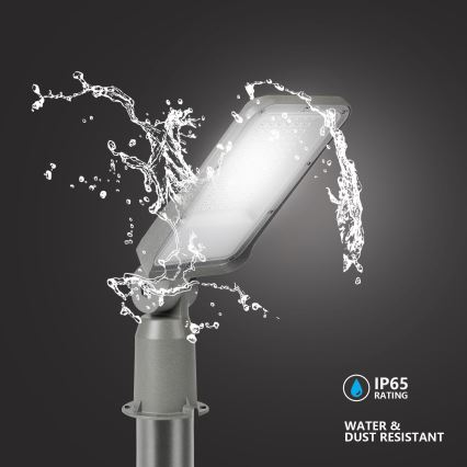 Brilagi - LED udendørs gadelampe med stolpe og justerbart led 3 m URBANLIGHT LED/50W/230V grå IP65