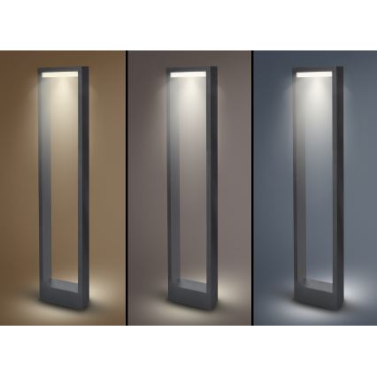 Brilagi - LED udendørslampe RAGUSA LED/7W/230V 3000/4000/6000K antracit IP54 80 cm