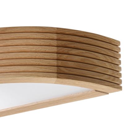Brilagi - LED væglampe CARVALHO MODERN 1xE27/60W/230V eg