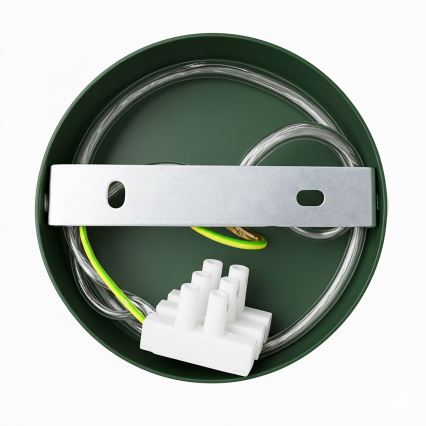 Brilagi - LED Væglampe FLAMENGO 1xE27/60W/230V grøn