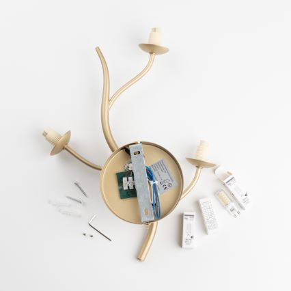 Brilagi - LED væglampe MISTEL 3xG9/3W/230V guldfarvet