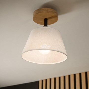 Brilagi - Loftlampe ANTHONY 1xE14/60W/230V eg/hvid