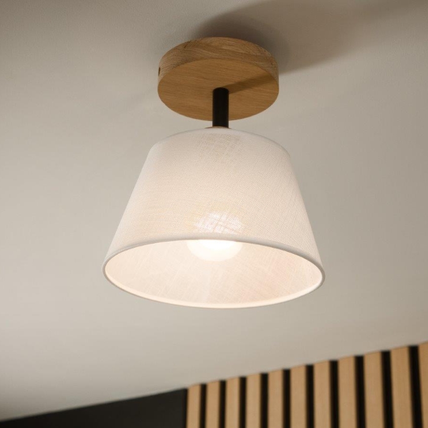 Brilagi - Loftlampe ANTHONY 1xE14/60W/230V eg/hvid