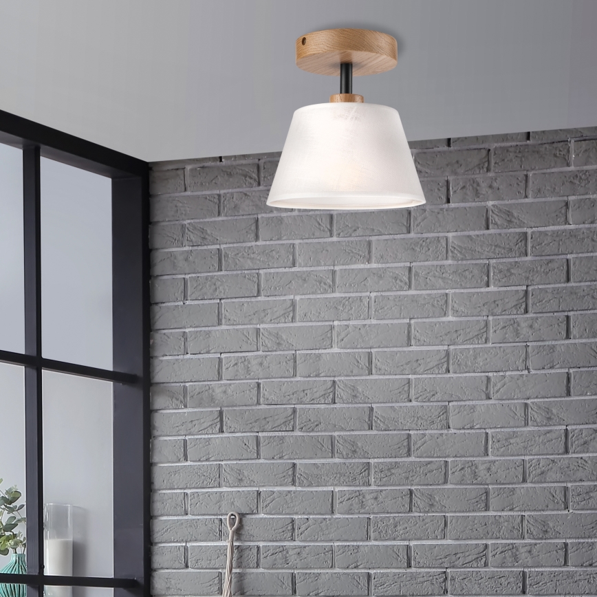 Brilagi - Loftlampe ANTHONY 1xE14/60W/230V eg/hvid