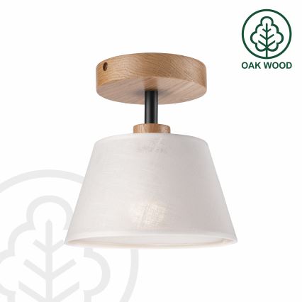 Brilagi - Loftlampe ANTHONY 1xE14/60W/230V eg/hvid