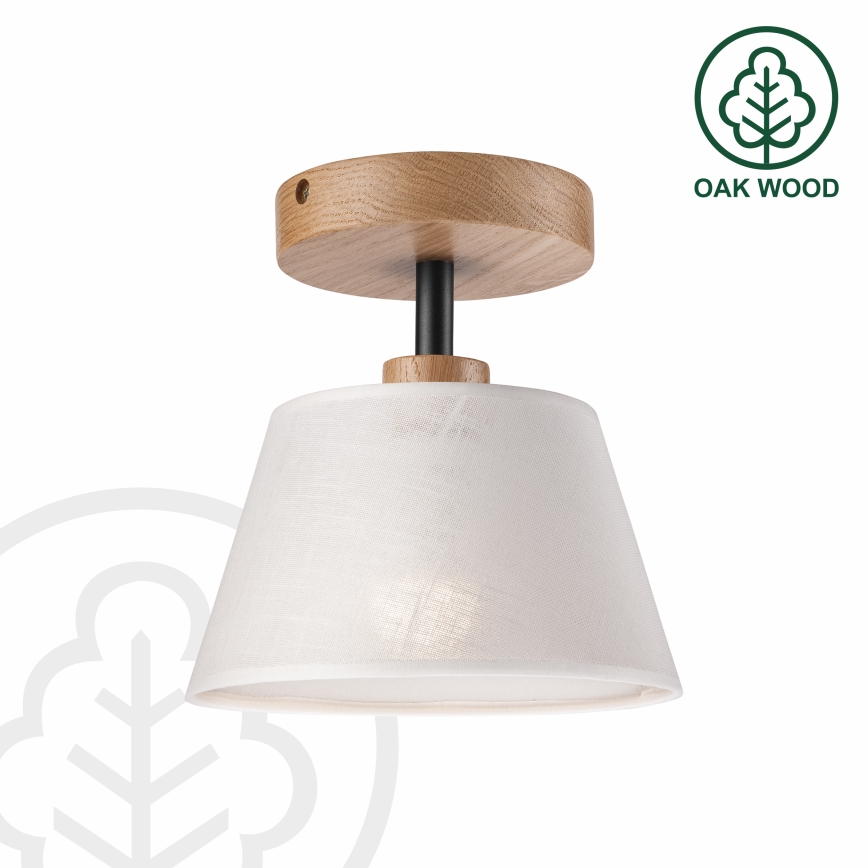 Brilagi - Loftlampe ANTHONY 1xE14/60W/230V eg/hvid