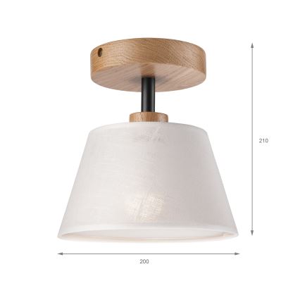 Brilagi - Loftlampe ANTHONY 1xE14/60W/230V eg/hvid
