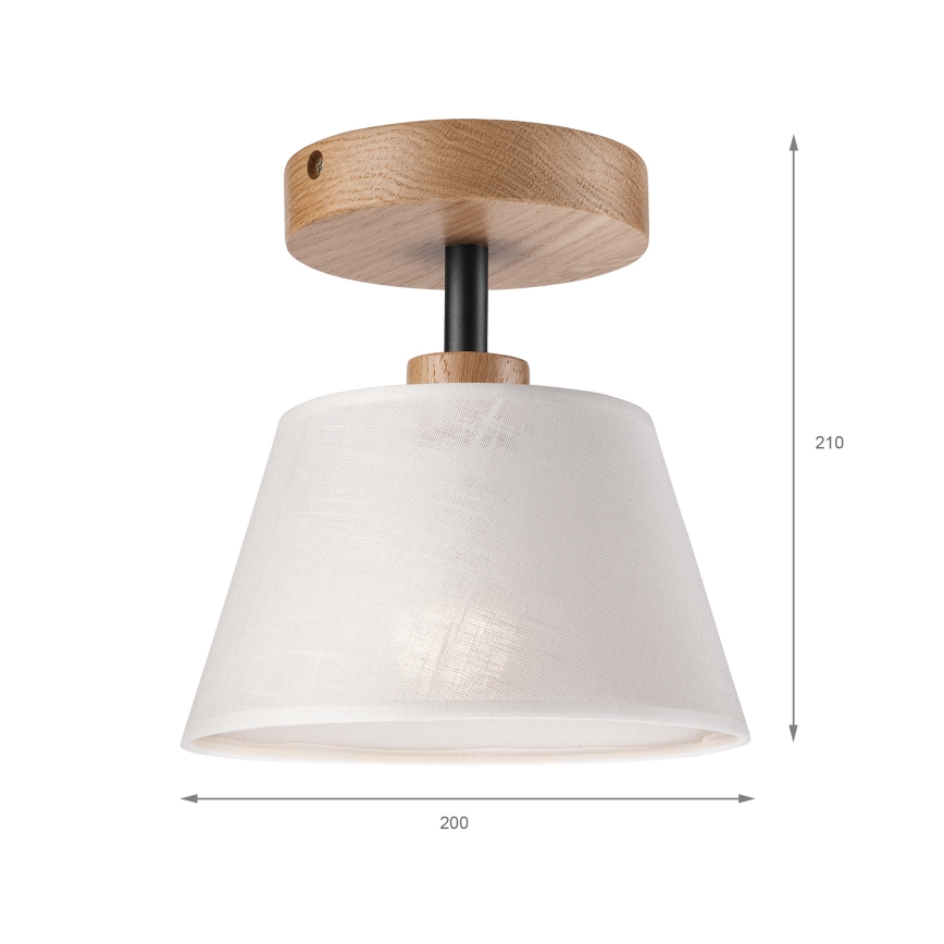 Brilagi - Loftlampe ANTHONY 1xE14/60W/230V eg/hvid