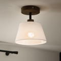 Brilagi - Loftlampe ANTHONY 1xE14/60W/230V eg/hvid
