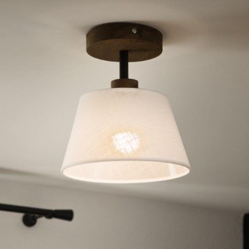 Brilagi - Loftlampe ANTHONY 1xE14/60W/230V eg/hvid