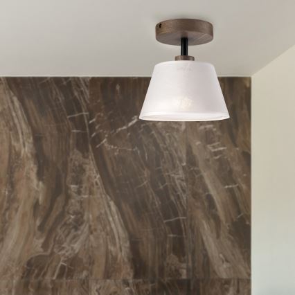 Brilagi - Loftlampe ANTHONY 1xE14/60W/230V eg/hvid