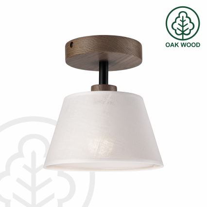 Brilagi - Loftlampe ANTHONY 1xE14/60W/230V eg/hvid
