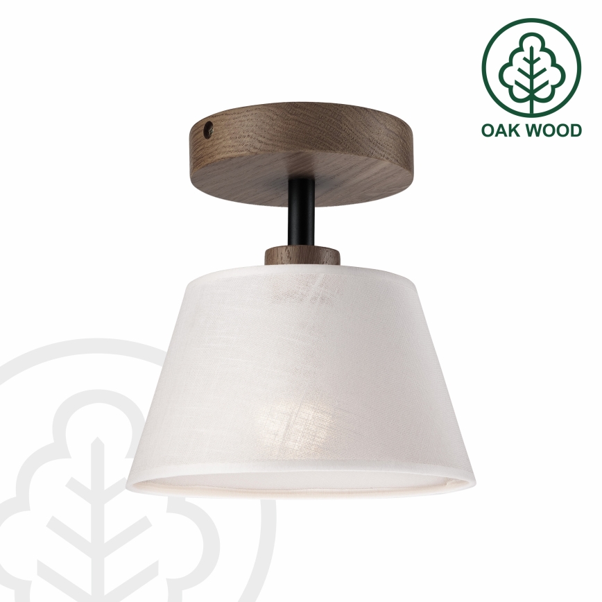 Brilagi - Loftlampe ANTHONY 1xE14/60W/230V eg/hvid